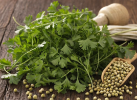 How to Properly Store Coriander Seeds