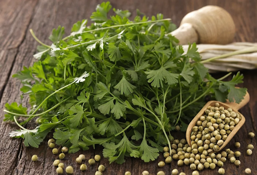 How to Properly Store Coriander Seeds